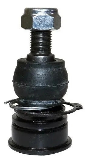 CTR Rótula Inferior CB0139