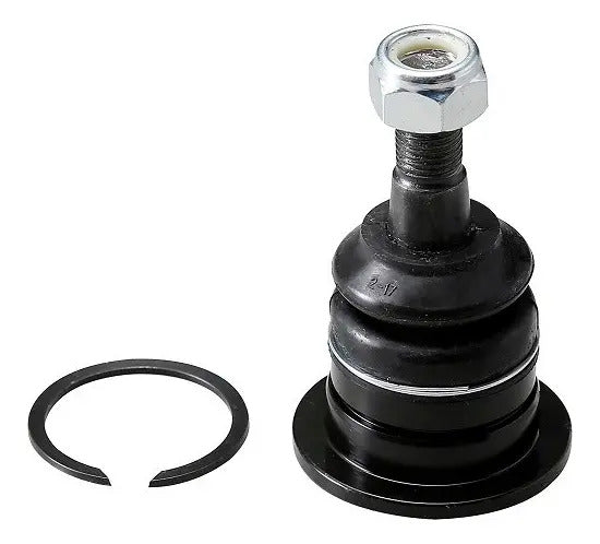 CTR Rótula Superior CB0406
