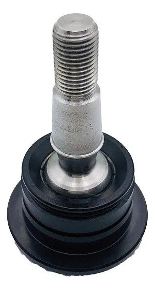 CTR Rótula Superior CB0446