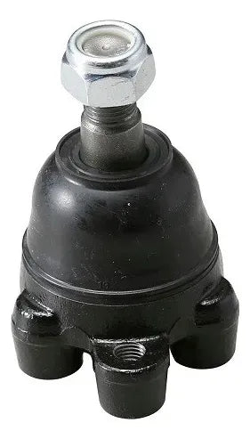 CTR Rótula Superior CB0182
