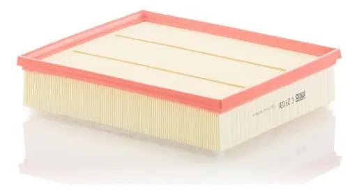 Mann Filter Filtro de Aire C29036