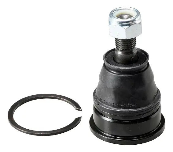 CTR Rótula Superior CB0334