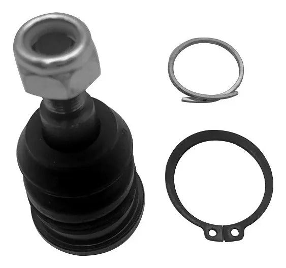 CTR Rótula CB0262