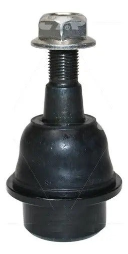 CTR Rótula Inferior CB0085