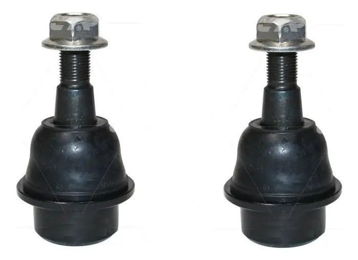CTR Rótula Inferior CB0085K