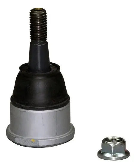 CTR Rótula CB0072